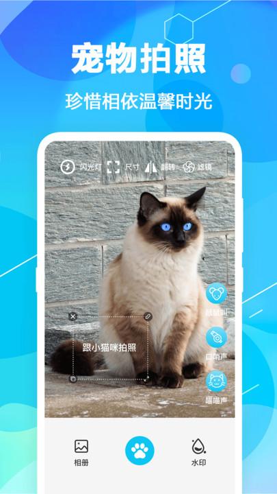 猫语翻译pet官方版下载,猫语翻译pet,猫语翻译app