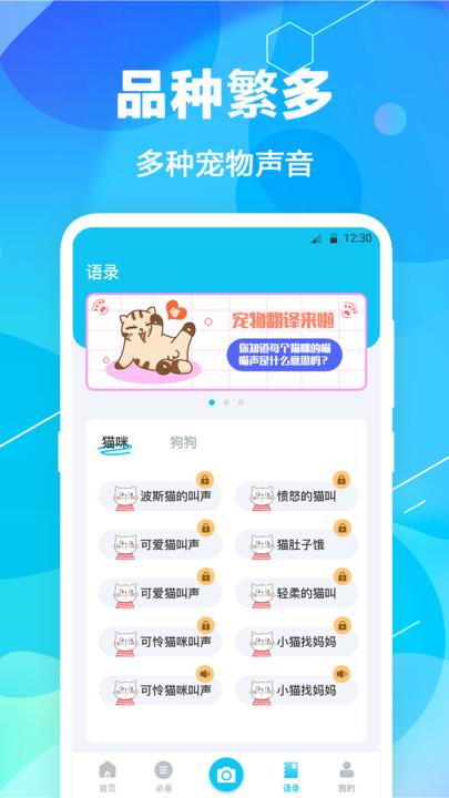 猫语翻译pet官方版下载,猫语翻译pet,猫语翻译app